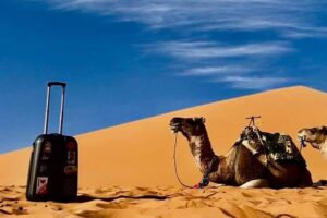 Desert Atmosphere Services