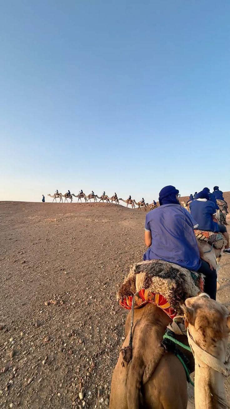 Traditional Camel Caravan