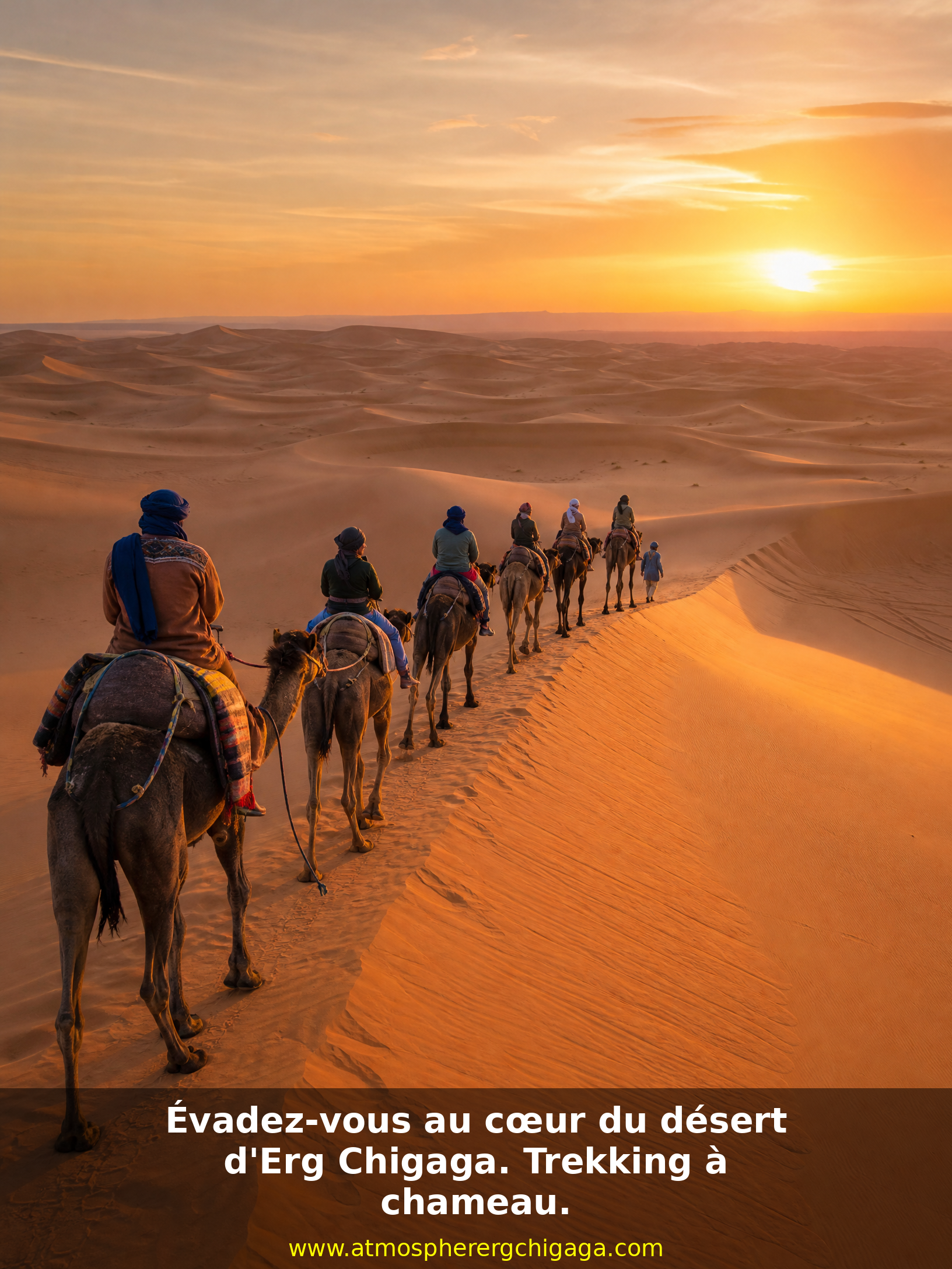 ad_2_camel